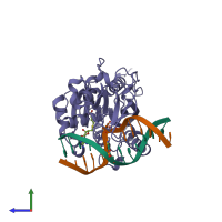 PDB entry 1mht coloured by chain, side view.