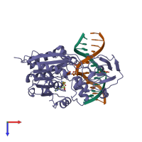 PDB entry 1mht coloured by chain, top view.