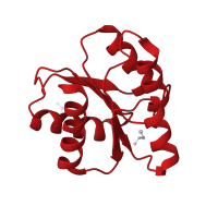 The deposited structure of PDB entry 1mih contains 2 copies of CATH domain 3.40.50.2300 (Rossmann fold) in Chemotaxis protein CheY. Showing 1 copy in chain A.