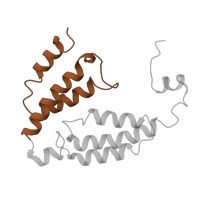 The deposited structure of PDB entry 1mmo contains 2 copies of CATH domain 1.20.1280.10 (Monooxygenase) in Methane monooxygenase component A gamma chain. Showing 1 copy in chain E [auth G].