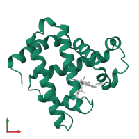 Myoglobin in PDB entry 1mno, assembly 1, front view.