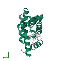 Myoglobin in PDB entry 1mno, assembly 1, side view.