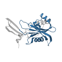 The deposited structure of PDB entry 1mr2 contains 1 copy of Pfam domain PF00293 (NUDIX domain) in Nudix hydrolase domain-containing protein. Showing 1 copy in chain A.