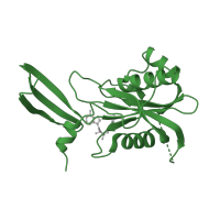 The deposited structure of PDB entry 1mr2 contains 1 copy of SCOP domain 55812 (MutT-like) in Nudix hydrolase domain-containing protein. Showing 1 copy in chain A.