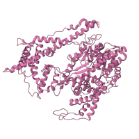 The deposited structure of PDB entry 1msw contains 1 copy of SCOP domain 56691 (T7 RNA polymerase) in T7 RNA polymerase. Showing 1 copy in chain D.