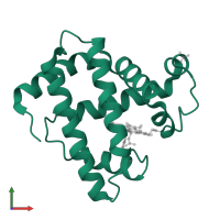 Myoglobin in PDB entry 1mtj, assembly 1, front view.