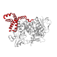 The deposited structure of PDB entry 1mw3 contains 1 copy of CATH domain 1.10.1740.10 (Rna Polymerase Sigma Factor; Chain: A) in Amylosucrase. Showing 1 copy in chain A.