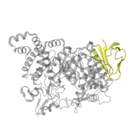 The deposited structure of PDB entry 1mw3 contains 1 copy of SCOP domain 51012 (alpha-Amylases, C-terminal beta-sheet domain) in Amylosucrase. Showing 1 copy in chain A.