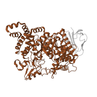 The deposited structure of PDB entry 1mw3 contains 1 copy of SCOP domain 51446 (Amylase, catalytic domain) in Amylosucrase. Showing 1 copy in chain A.