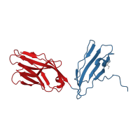 The deposited structure of PDB entry 1mwa contains 4 copies of CATH domain 2.60.40.10 (Immunoglobulin-like) in T-cell receptor alpha chain V region PHDS58. Showing 2 copies in chain A.