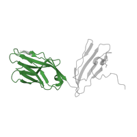 The deposited structure of PDB entry 1mwa contains 2 copies of Pfam domain PF07686 (Immunoglobulin V-set domain) in T-cell receptor alpha chain V region PHDS58. Showing 1 copy in chain A.