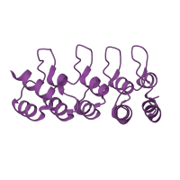 The deposited structure of PDB entry 1mx4 contains 2 copies of SCOP domain 48404 (Ankyrin repeat) in Cyclin-dependent kinase 4 inhibitor C. Showing 1 copy in chain B.