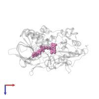 FLAVIN-N7 PROTONATED-ADENINE DINUCLEOTIDE in PDB entry 1mxt, assembly 1, top view.