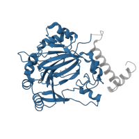 The deposited structure of PDB entry 1mze contains 1 copy of CATH domain 2.60.120.10 (Jelly Rolls) in Hypoxia-inducible factor 1-alpha inhibitor. Showing 1 copy in chain A.