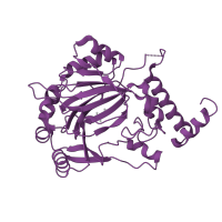 The deposited structure of PDB entry 1mze contains 1 copy of SCOP domain 82194 (Hypoxia-inducible factor HIF ihhibitor (FIH1)) in Hypoxia-inducible factor 1-alpha inhibitor. Showing 1 copy in chain A.