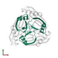 Pyruvoyl-dependent arginine decarboxylase subunit beta in PDB entry 1n13, assembly 1, front view.