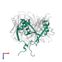 Pyruvoyl-dependent arginine decarboxylase subunit beta in PDB entry 1n13, assembly 1, top view.