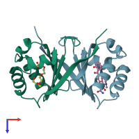 PDB entry 1n5q coloured by chain, top view.