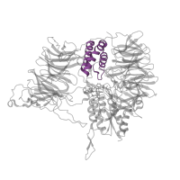 The deposited structure of PDB entry 1n6f contains 6 copies of CATH domain 3.30.750.44 (Transcription Regulator spoIIAA) in Tricorn protease. Showing 1 copy in chain A.