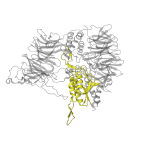 The deposited structure of PDB entry 1n6f contains 6 copies of Pfam domain PF03572 (Peptidase family S41) in Tricorn protease. Showing 1 copy in chain A.