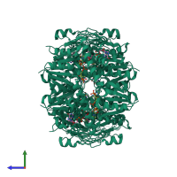 Homo tetrameric assembly 1 of PDB entry 1n7g coloured by chemically distinct molecules, side view.