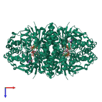 Homo tetrameric assembly 1 of PDB entry 1n7g coloured by chemically distinct molecules, top view.