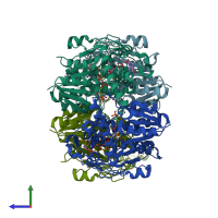 PDB entry 1n7g coloured by chain, side view.