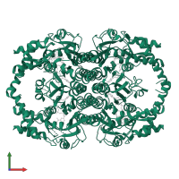 GDP-mannose 4,6 dehydratase 2 in PDB entry 1n7g, assembly 1, front view.