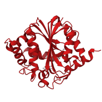 The deposited structure of PDB entry 1n7i contains 2 copies of CATH domain 3.40.50.150 (Rossmann fold) in Phenylethanolamine N-methyltransferase. Showing 1 copy in chain B.