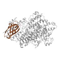 The deposited structure of PDB entry 1n8q contains 1 copy of Pfam domain PF01477 (PLAT/LH2 domain) in Seed linoleate 9S-lipoxygenase-3. Showing 1 copy in chain A.