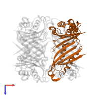 Dihydroneopterin aldolase in PDB entry 1nbu, assembly 1, top view.