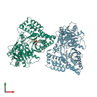 PDB entry 1ndi coloured by chain, front view.