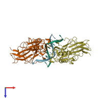 PDB entry 1nfk coloured by chain, top view.