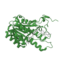 The deposited structure of PDB entry 1nfq contains 4 copies of SCOP domain 51751 (Tyrosine-dependent oxidoreductases) in 3-alpha-(or 20-beta)-hydroxysteroid dehydrogenase. Showing 1 copy in chain A.