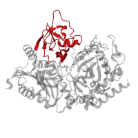 The deposited structure of PDB entry 1nhx contains 1 copy of CATH domain 2.170.8.10 (Phosphoenolpyruvate Carboxykinase; domain 2) in Phosphoenolpyruvate carboxykinase, cytosolic [GTP]. Showing 1 copy in chain A.