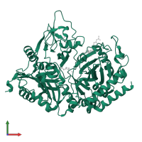 Phosphoenolpyruvate carboxykinase, cytosolic [GTP] in PDB entry 1nhx, assembly 1, front view.