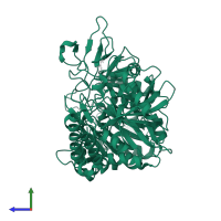 Phosphoenolpyruvate carboxykinase, cytosolic [GTP] in PDB entry 1nhx, assembly 1, side view.