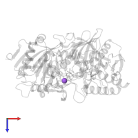 SODIUM ION in PDB entry 1nhx, assembly 1, top view.