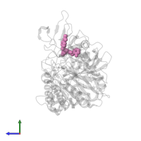 N-{4-[1-(2-FLUOROBENZYL)-3-BUTYL-2,6-DIOXO-2,3,6,7-TETRAHYDRO-1H-PURIN-8-YLMETHYL]-PHENYL}-ACETAMIDE in PDB entry 1nhx, assembly 1, side view.