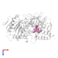 N-{4-[1-(2-FLUOROBENZYL)-3-BUTYL-2,6-DIOXO-2,3,6,7-TETRAHYDRO-1H-PURIN-8-YLMETHYL]-PHENYL}-ACETAMIDE in PDB entry 1nhx, assembly 1, top view.