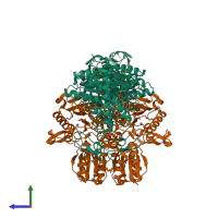 Hetero tetrameric assembly 1 of PDB entry 1ni4 coloured by chemically distinct molecules, side view.