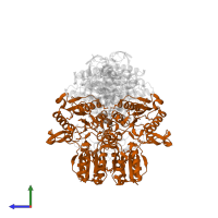 Pyruvate dehydrogenase E1 component subunit beta, mitochondrial in PDB entry 1ni4, assembly 1, side view.