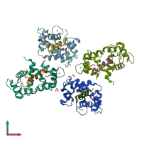 3D model of 1niw from PDBe