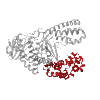 The deposited structure of PDB entry 1nkb contains 1 copy of CATH domain 1.10.150.20 (DNA polymerase; domain 1) in DNA polymerase I. Showing 1 copy in chain C [auth A].