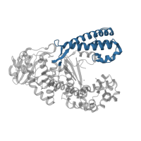 The deposited structure of PDB entry 1nkb contains 1 copy of CATH domain 1.20.1060.10 (Taq DNA Polymerase; Chain T, domain 4) in DNA polymerase I. Showing 1 copy in chain C [auth A].