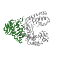 The deposited structure of PDB entry 1nkb contains 1 copy of CATH domain 3.30.420.10 (Nucleotidyltransferase; domain 5) in DNA polymerase I. Showing 1 copy in chain C [auth A].
