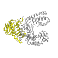 The deposited structure of PDB entry 1nkb contains 1 copy of SCOP domain 53118 (DnaQ-like 3'-5' exonuclease) in DNA polymerase I. Showing 1 copy in chain C [auth A].