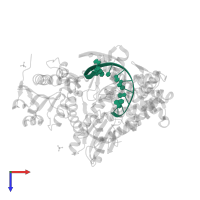 DNA PRIMER STRAND in PDB entry 1nkb, assembly 1, top view.