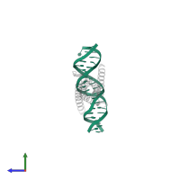 5'-D(*CP*GP*AP*GP*TP*AP*GP*CP*AP*CP*GP*TP*GP*CP*TP*AP*CP*TP*C)-3' in PDB entry 1nkp, assembly 1, side view.