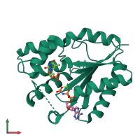 PDB entry 1nn5 coloured by chain, front view.